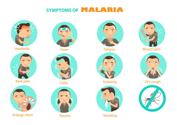 Illustration vectorielle de l'ensemble du paludisme
 - Vecteur, image