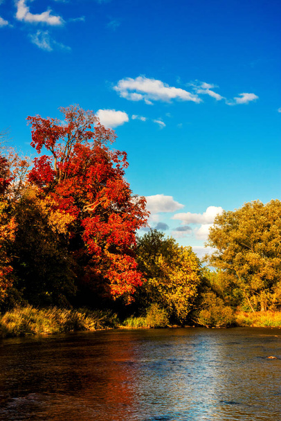 Όμορφες φθινοπωρινές εικόνες από το Οντάριο του Καναδά - Φωτογραφία, εικόνα