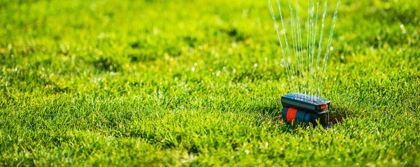 Siyah ve kırmızı plastik çim fıskiyelerine yakın su fışkırtan ve yeşil çimen püskürten.  - Fotoğraf, Görsel