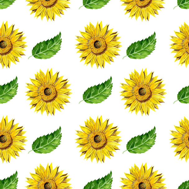 Bezešvé vzor se žlutými slunečnice a zelené listy izolované na bílém pozadí. Akvarel gouache ručně kreslené ilustrace v realistickém stylu. Koncept léta, krásy, oleje, semen, zemědělství - Fotografie, Obrázek