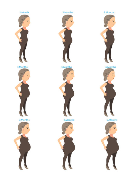 Vektorová ilustrace stadií těhotenství - Vektor, obrázek