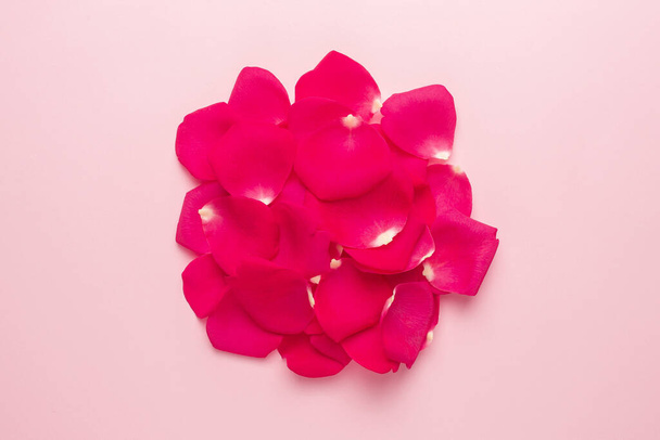 Dark rose petal on pink background close up top view - Foto, Bild