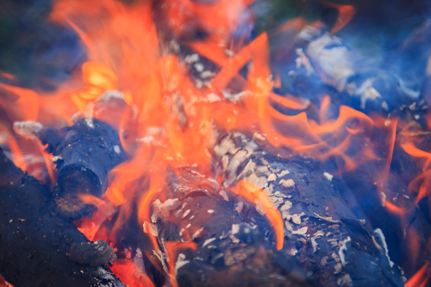 Vuur hout branden - Foto, afbeelding