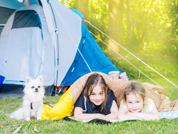 Camp in tent with children - girls sisters with little dog chihuahua sitting together near tent. Travelers sit in summer forest. Traveling with kids. Camping outdoors tourism and vacation concept. - Photo, Image