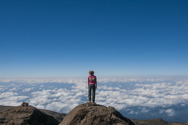 patrząc na Kilimandżaro Afryki - Zdjęcie, obraz