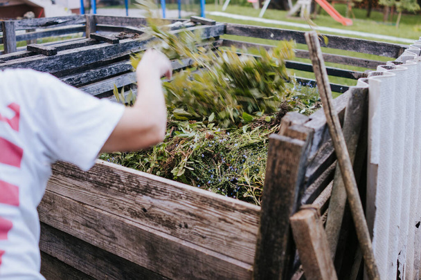 Tworzenie kompostu ze świeżych liści w ogrodzie - Zdjęcie, obraz