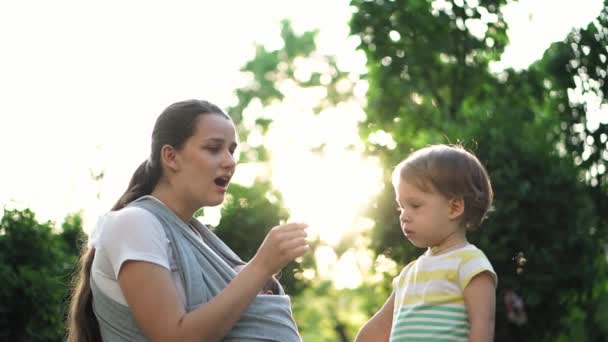 family, children, motherhood, entertainment and people concept - young cute mother of many children with her baby in sling blow dandelion with little son on background of the sunset in the park. - Footage, Video