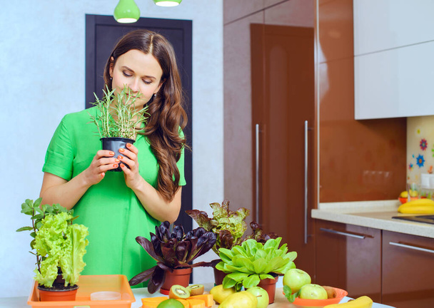 Masada taze meyveli sağlıklı detoks smoothie pişirmek için saksı bitkileri var. Sağlıklı Yaşam Tarzı detoks kavramı.  - Fotoğraf, Görsel