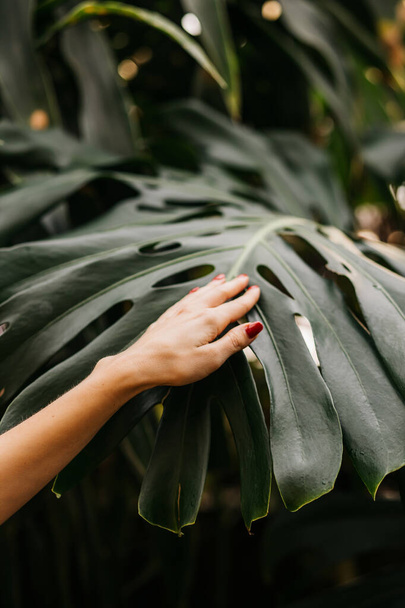 Woman on tropical plants background - Zdjęcie, obraz