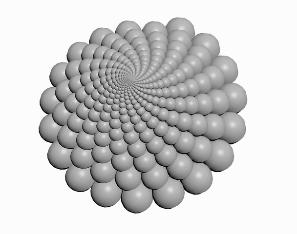 Espiral calcário caracol shell
 - Foto, Imagem