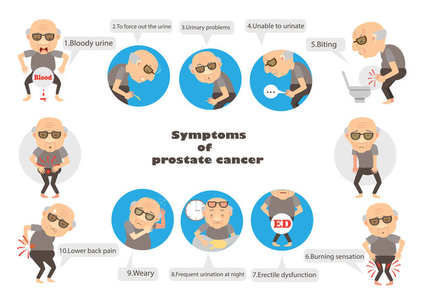 symptoms prostate cancer vector illustration - Vector, Image
