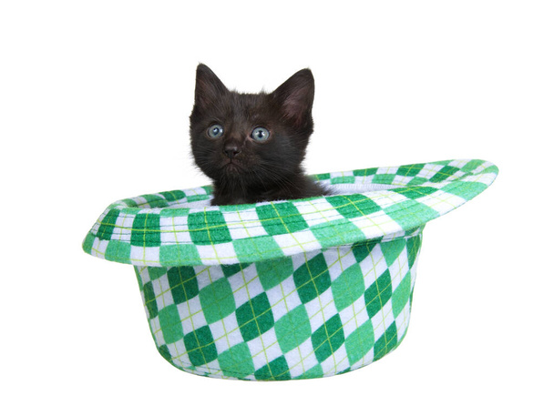One black kitten sitting in a Saint Patrick's Day themed green checkered fedora style hat, isolated on white background. Fun holiday theme with cats - Photo, Image
