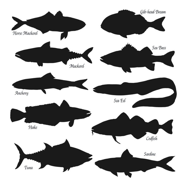 Рыбные черные силуэты. Морские животные конная скумбрия, позолоченный лещ или морской окунь и анчоусы, морской угорь, тунец, тунец, треска и сардина. Виды рыб, рыболовные виды спорта
 - Вектор,изображение