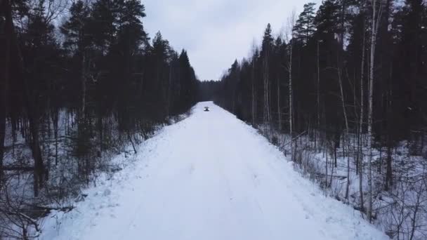 Een auto rijdt door een bos op een besneeuwde weg. - Video