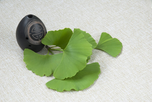 Spring branch of ginkgo biloba and vase on the canvas background - Photo, Image