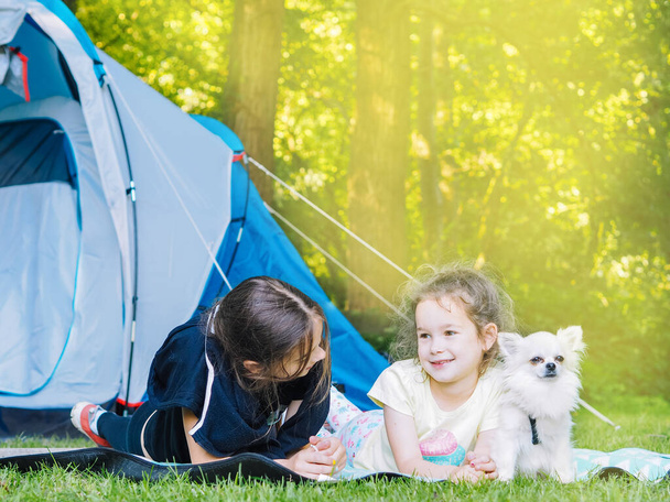 キャンプテントの中で子供たちと-テントの近くに一緒に座って小さな犬Chihuahuaと女の子の姉妹。旅行者は夏の森に座っている。子供と一緒に旅行。キャンプアウトドア観光と休暇のコンセプト. - 写真・画像