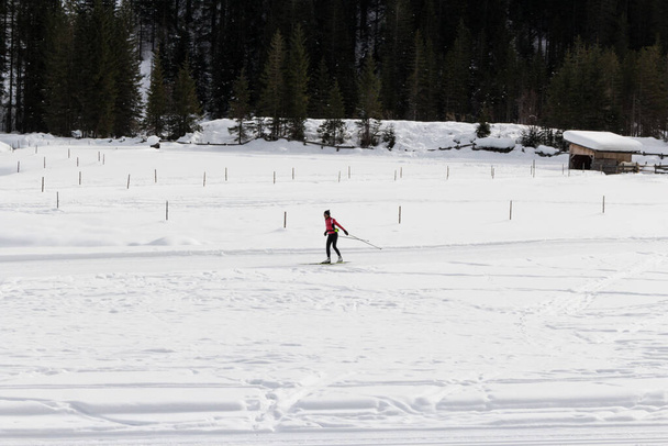 woman while cross country skiing on a snowy track. - Photo, Image