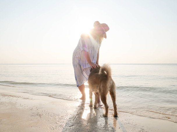 Senior woman playing wih dog at seashore in sunlight - Foto, immagini