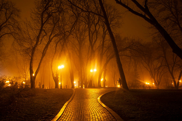 De laan van het stadspark 's nachts. Kiev, Oekraïne. - Foto, afbeelding