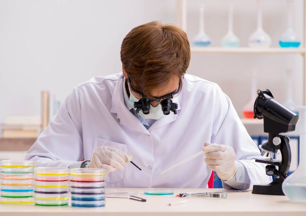 Jeune chimiste travaillant dans le laboratoire - Photo, image
