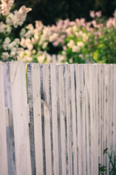Clôture en bois blanc sur fond de jardin et buissons fleuris en été, vie dans une maison de campagne en vacances
. - Photo, image