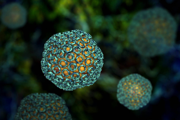 Вирус лихорадки рифтовой долины, 3D иллюстрация. РНК-вирус семейства Bunyaviridae, передаваемый от инфицированных животных укусом комаров и воздухом, возбудителем лихорадки Рифтовой долины у людей
 - Фото, изображение