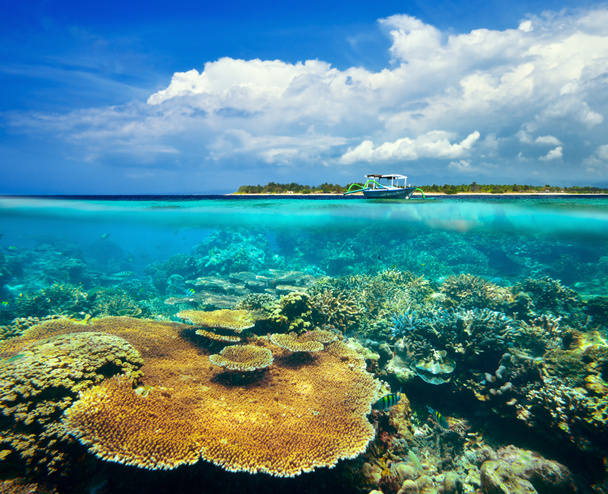 prachtig koraalrif op achtergrond gili meno eiland - Foto, afbeelding