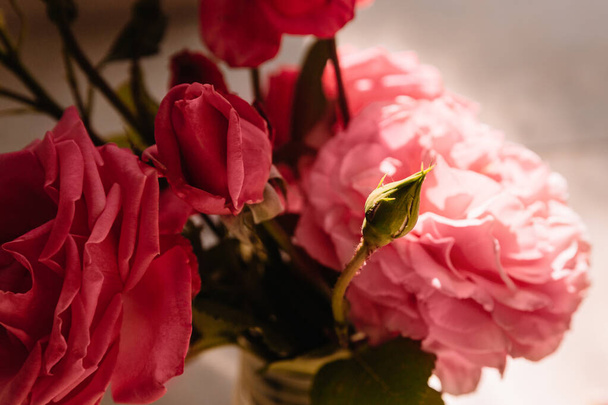 pink garden roses in a glass vase - Fotoğraf, Görsel