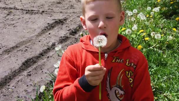 A boy is resting in a clearing in the summer. He is blowing on a dandelion. Slow Motion - Footage, Video