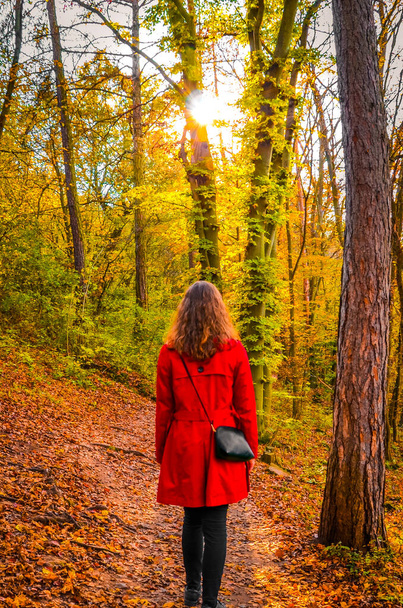 Young Caucasian woman in a red coat on a path in a colorful autumn forest. Sun shining through the trees. Fall fashion, colors, and style. Autumn fashion trends. Little Red Riding Hood concept. - Photo, Image