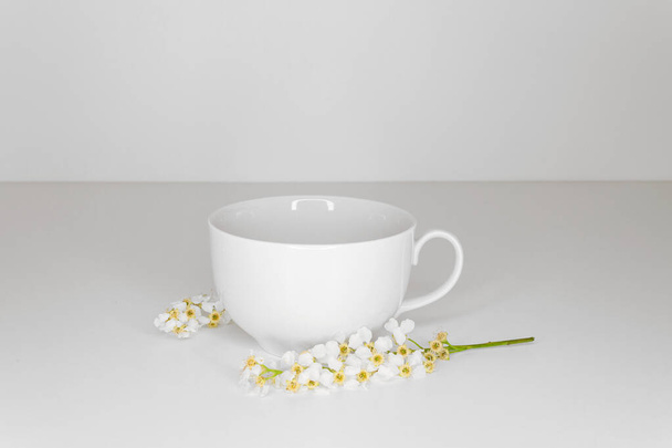 White cup with bird-cherry blossoms on white background. Side view - Photo, Image