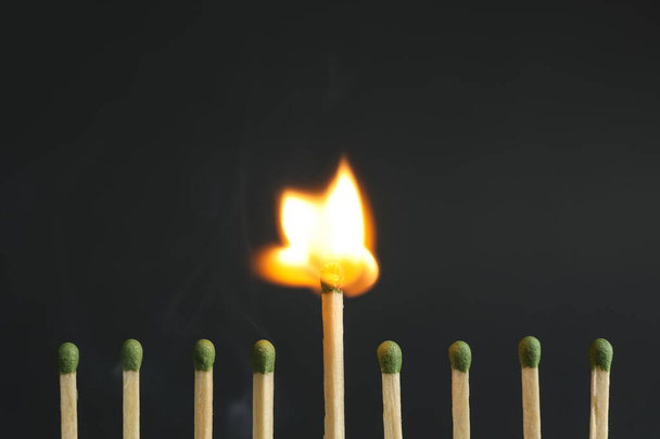 Burning match among unlit ones on dark background, closeup - Фото, зображення