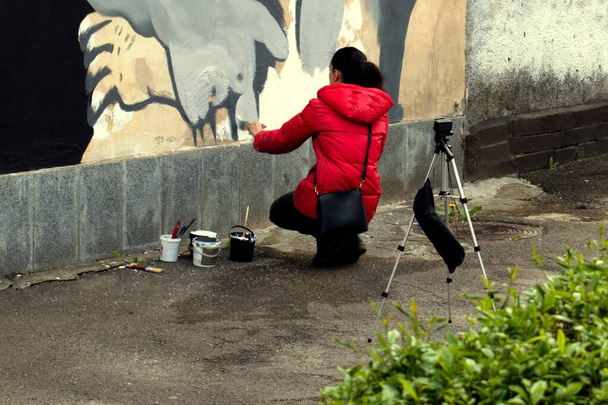 Duvara grafiti yapan genç bir kadın çiziyor ve kameraya video çekiyor. - Fotoğraf, Görsel
