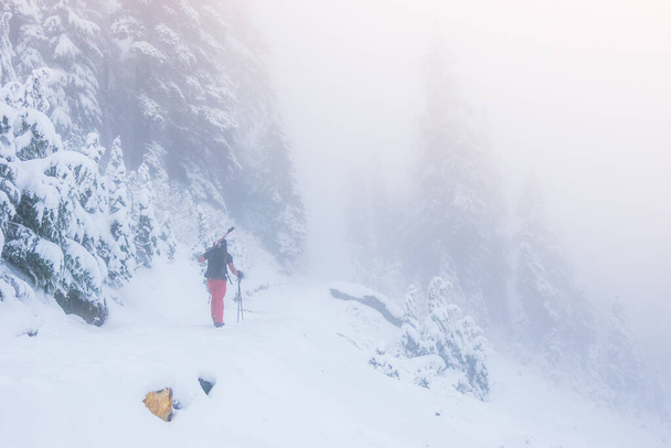 un hombre en el bosque de nieve con niebla en el Parque Nacional Mt Rainier, Washington, EE.UU.
. - Foto, Imagen