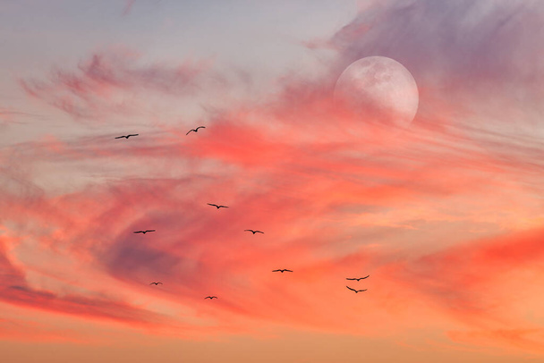 A Flock of Birds Fly in a Surreal Orange and Red Colored Sky as the Full Moon Rises in the Background - Photo, Image