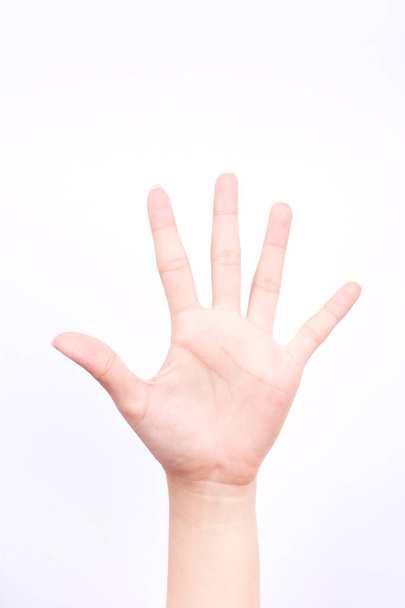 doigt main symboles isolé concept arrêt bloc ou cinq points sur le fond blanc
 - Photo, image