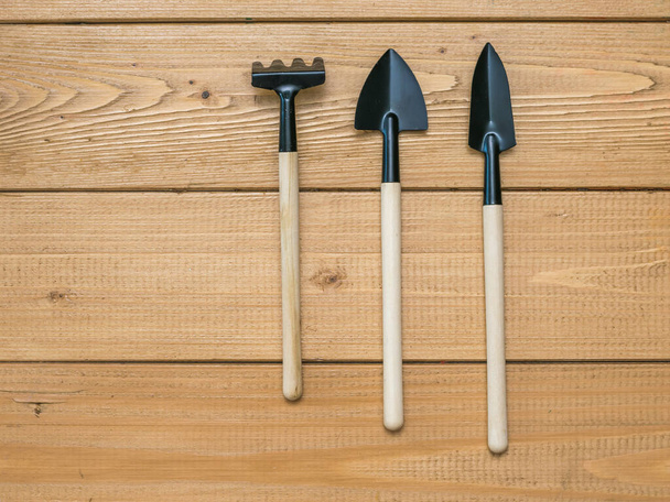 A set of three items for cultivating soil on a wooden background. - Foto, Imagen