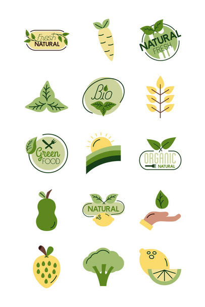 bundle of nature and organic icons - Vector, Image