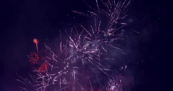 Prawdziwy kolorowy pokaz fajerwerków na ciemnym niebie, święto narodowe Nowy Rok - Materiał filmowy, wideo