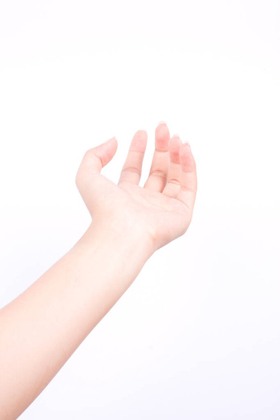 指の手のシンボル孤立した概念祈りの手を開き、白い背景であなたを祝福する5月神 - 写真・画像