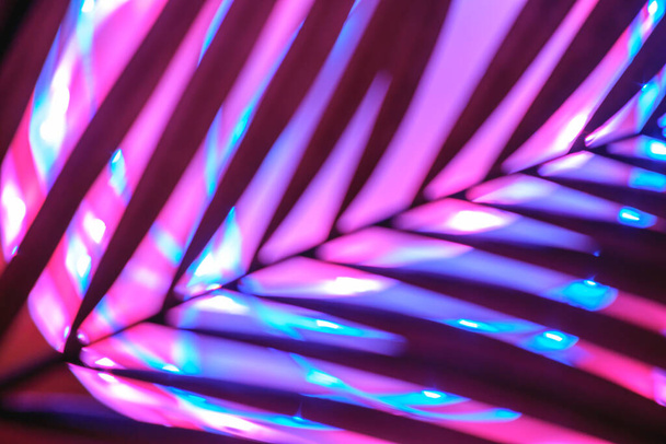 Futuristic blurred neon drop in blue and pink with traces of palm greenery - Foto, immagini