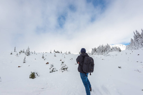 a man stand facing the mountain on a path cover with snow in paradise area,scenic view of mt Rainier National park,Washington,USA.. - Φωτογραφία, εικόνα