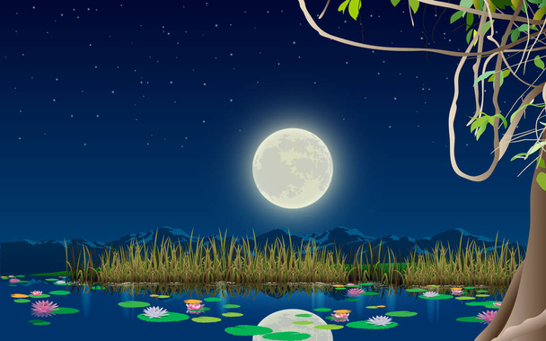 満月の夜の沼の風景 - ベクター画像