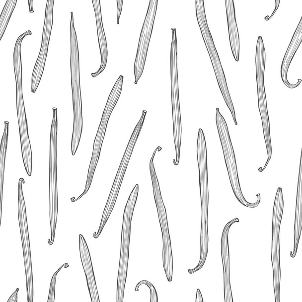 Modello senza cuciture vettoriale con baccelli di vaniglia disegnati a mano. Illustrazione schizzo
. - Vettoriali, immagini