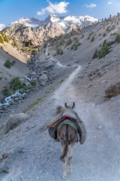 Ο εγχώριος γάιδαρος στο καθήκον της μεταφοράς φορτίου στη σέλα στα βουνά των φανών στο Τατζικιστάν - Φωτογραφία, εικόνα