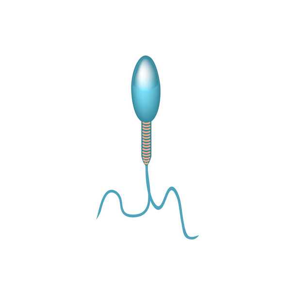 A sperma kóros formái az ejakulátumban. Férfi meddőség Oligospermia. Spermogram. Sperma rendellenességek. Infografikák. Vektorillusztráció izolált háttérrel. - Vektor, kép