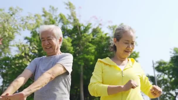felice anziani coppia asiatica esercizio di stretching braccia all'aperto
 - Filmati, video
