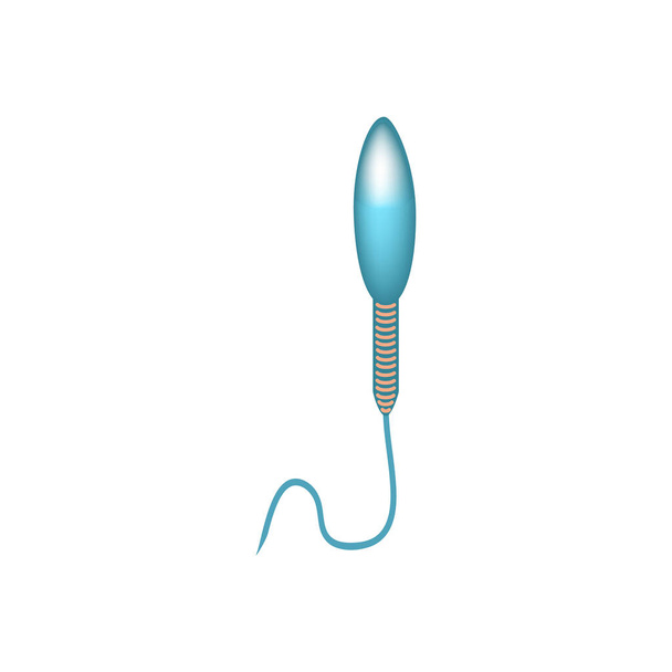Pathologische vormen van sperma in het ejaculaat. Mannelijke onvruchtbaarheid Oligospermie. Spermogram. Zaadafwijkingen. Infografieën. Vectorillustratie op geïsoleerde achtergrond. - Vector, afbeelding