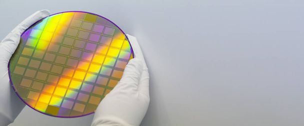 Engineer in clear room in white gloves and suit holding a silicon wafer with integrated circuits on a grey background. - Foto, Bild