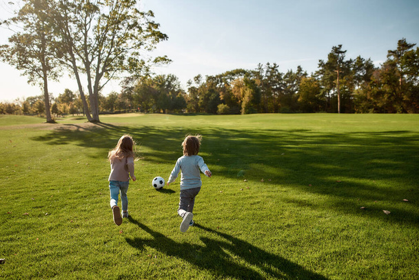 Children are our most valuable natural resource. Two kids playing with a ball on meadow - Foto, immagini